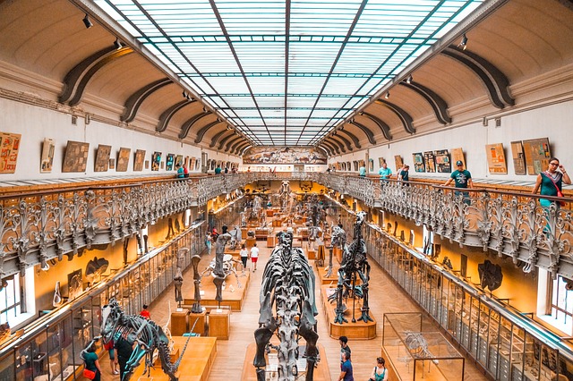 muzeum s dinosauřími kostrami
